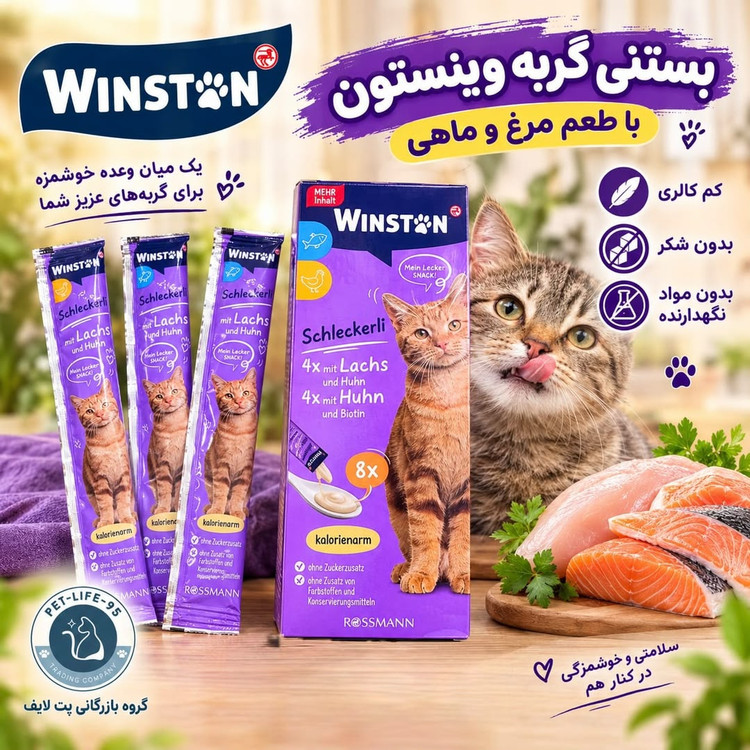 بستنی گربه وینستون با طعم مرغ و ماهی