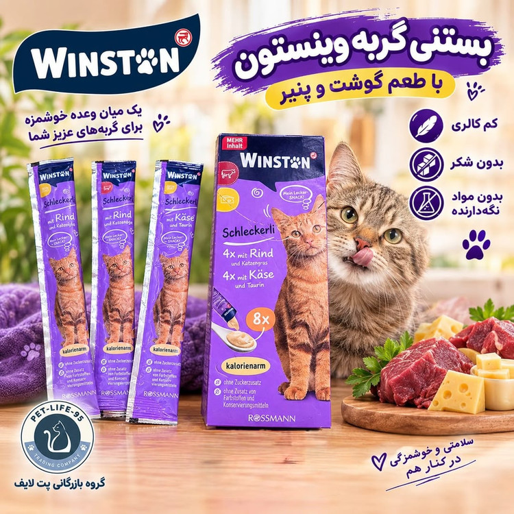 بستنی گربه وینستون با طعم گوشت و پنیر